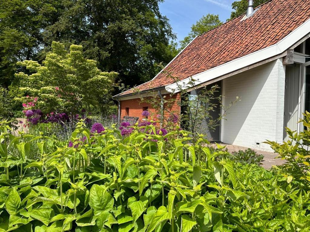 Paterswolde Haystackcottage מראה חיצוני תמונה