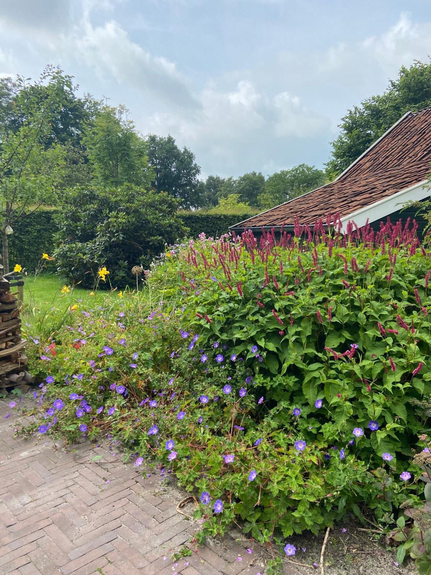 Paterswolde Haystackcottage מראה חיצוני תמונה